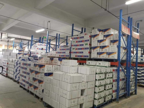 責(zé)任民企攜手政府服務(wù)，助力泰安抗疫與復(fù)工復(fù)產(chǎn)